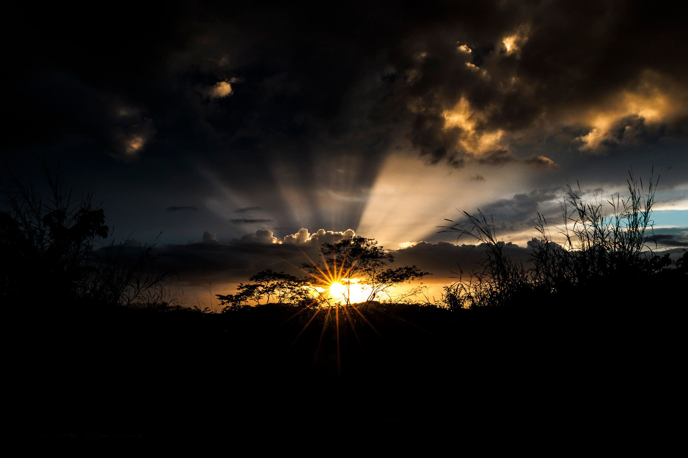 Sunburst breaking through dramatic storm clouds above silhouetted trees.