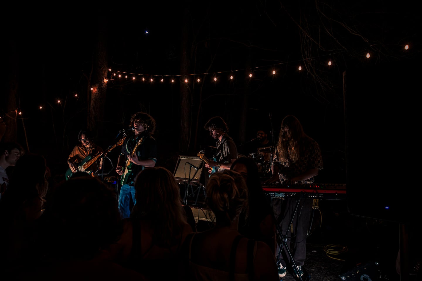 A wide view shows the full band performing under string lights before a dense crowd.