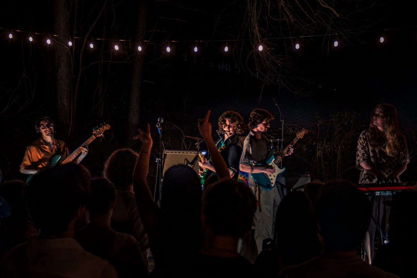 The band stretches across the outdoor stage as raised hands and heads fill the foreground.