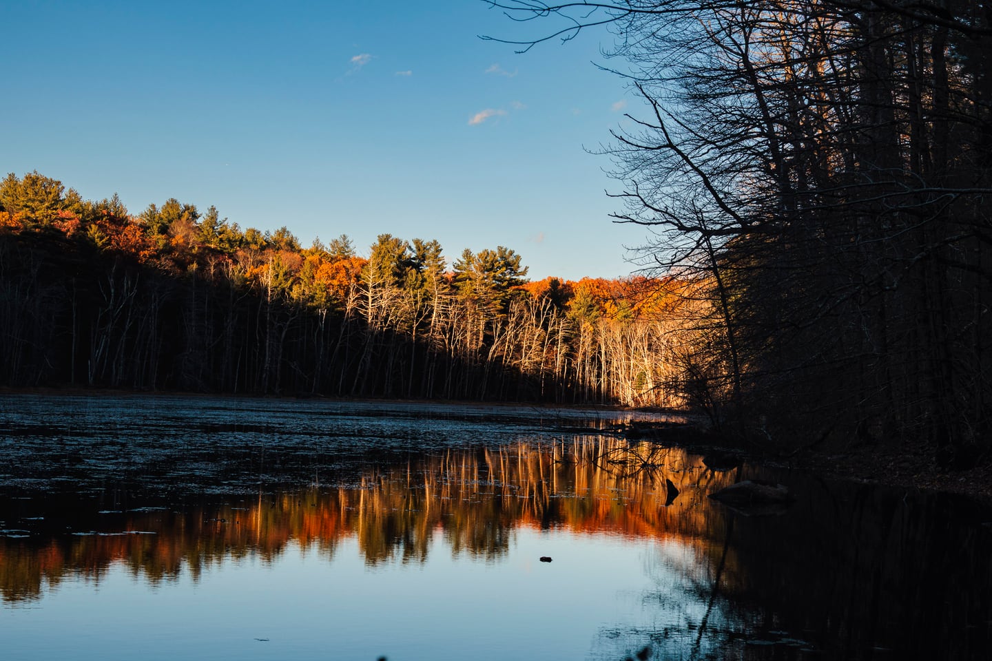 Golden light reflecting across a calm lake at sunset.