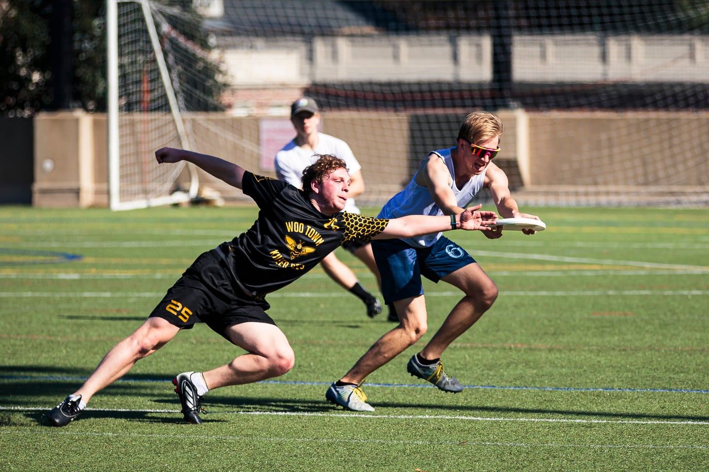 A layout catch on turf captured mid-air.