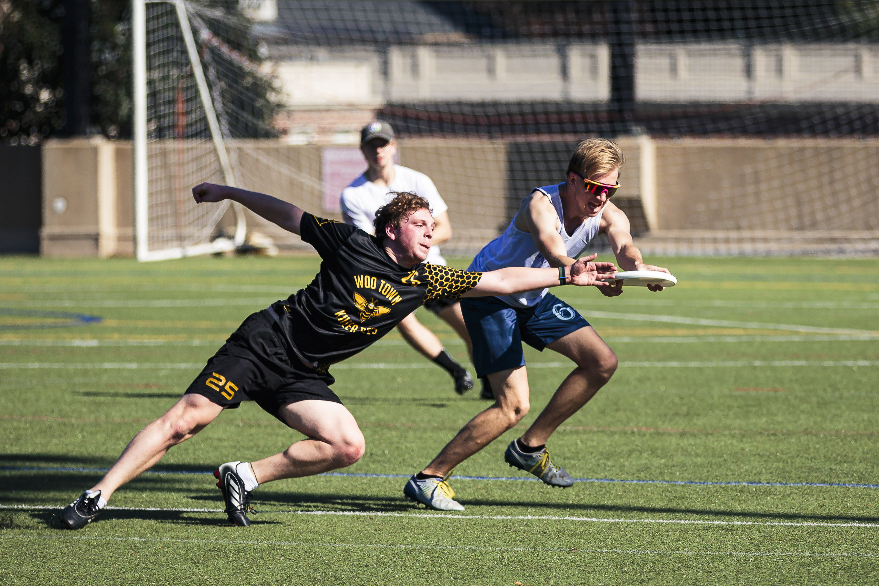 A layout catch on turf captured mid-air.